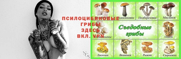 a pvp Нязепетровск