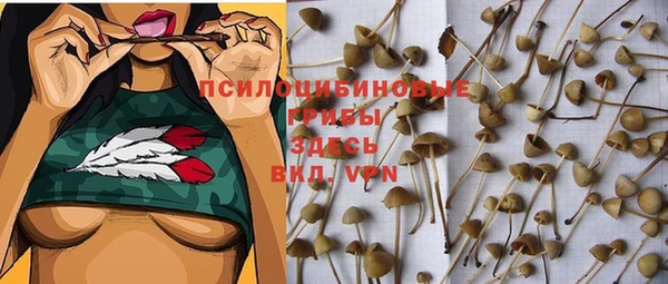 дурь Новодвинск