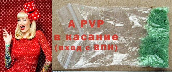 дурь Новодвинск