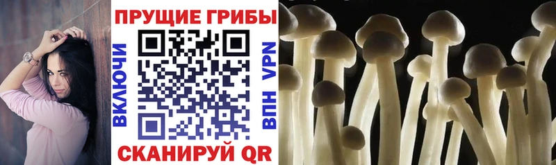 MEGA ссылки  Партизанск  Галлюциногенные грибы мицелий 
