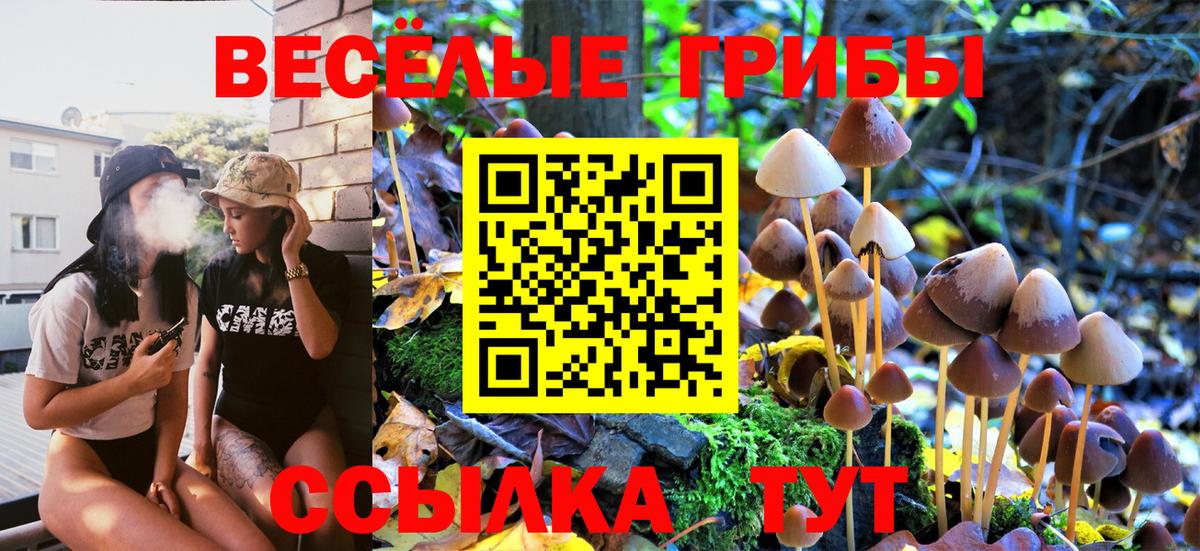 Галлюциногенные грибы Psilocybe Партизанск