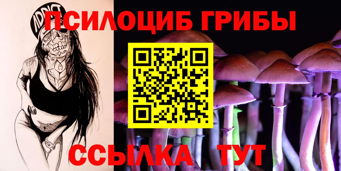 Псилоцибиновые грибы мицелий  Вход с VPN  Партизанск 